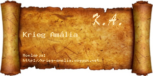 Krieg Amália névjegykártya